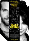 Silver Linings Playbook Best Adapted Screenplay Oscar Nomination